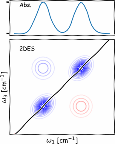 2DES schematic 3 pulse spectrum